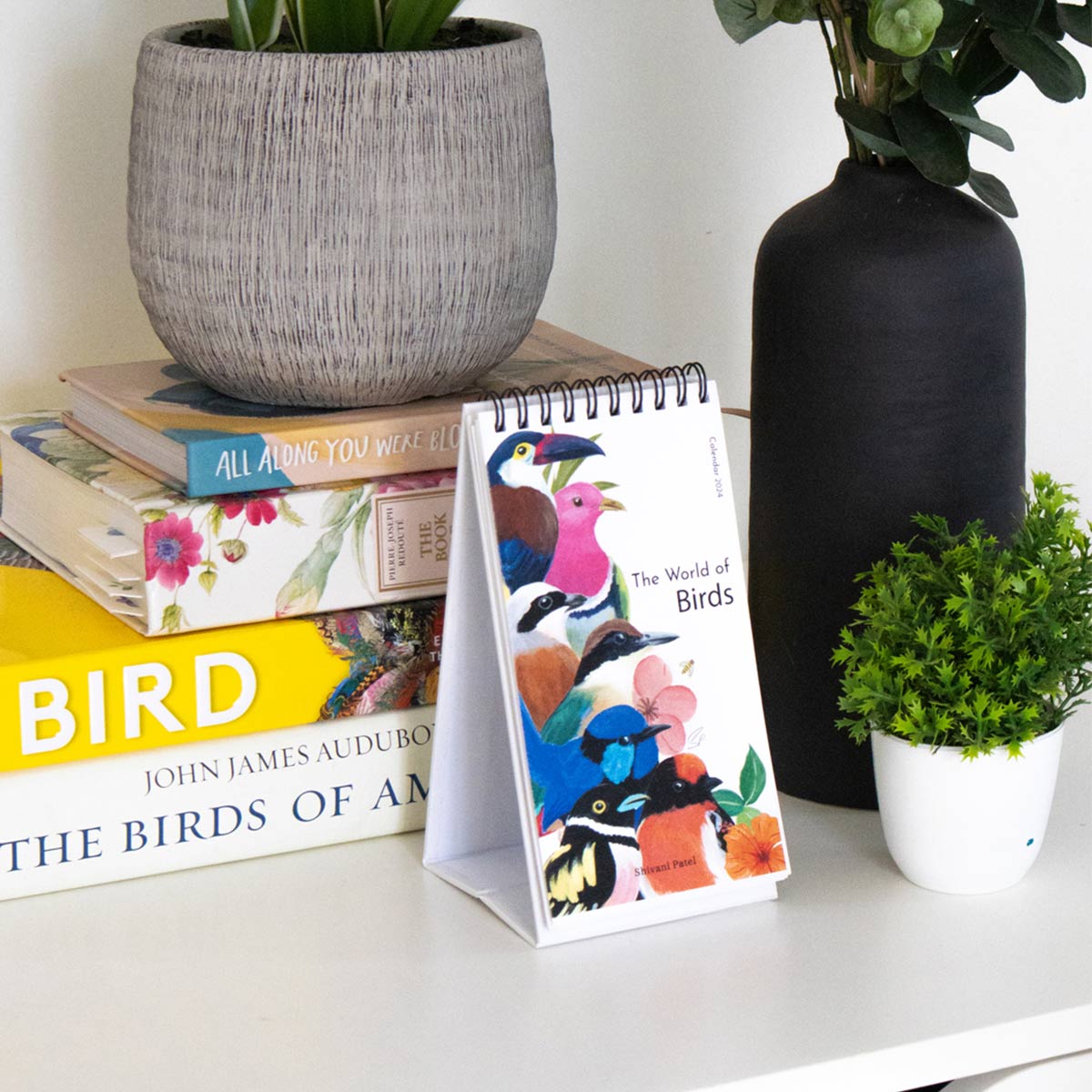 2024 Desk Calendar - The World of Birds