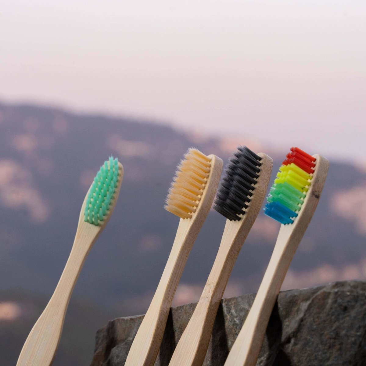 Bamboo Toothbrush Colour Pack 4 Pcs