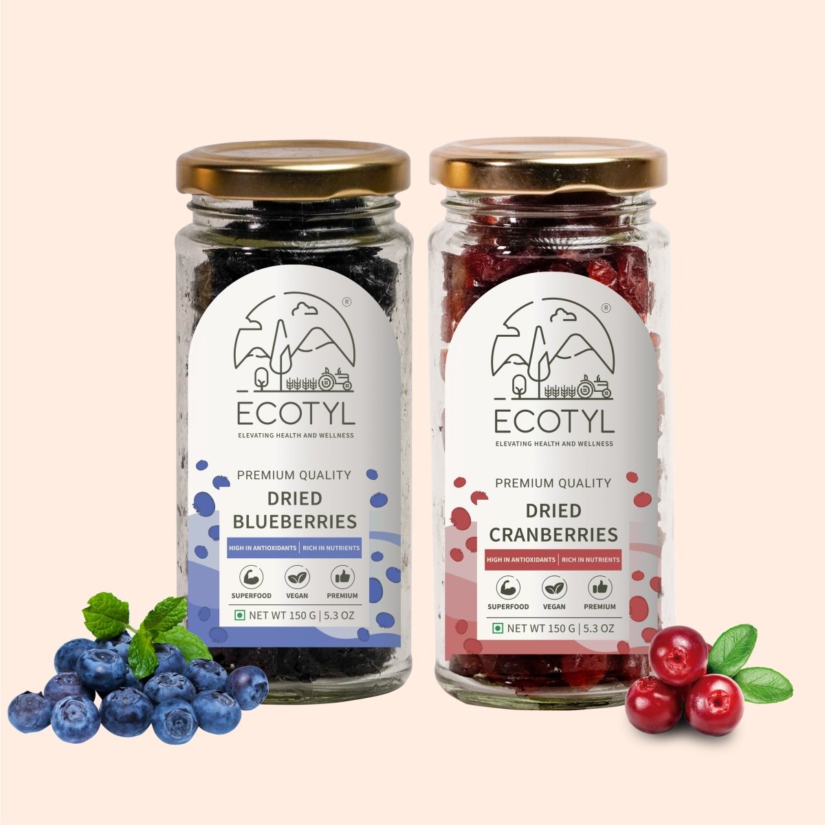 Blueberres & Dried Cranberries Combo | Healthy Snacks | Dried Fruits | 150g Each