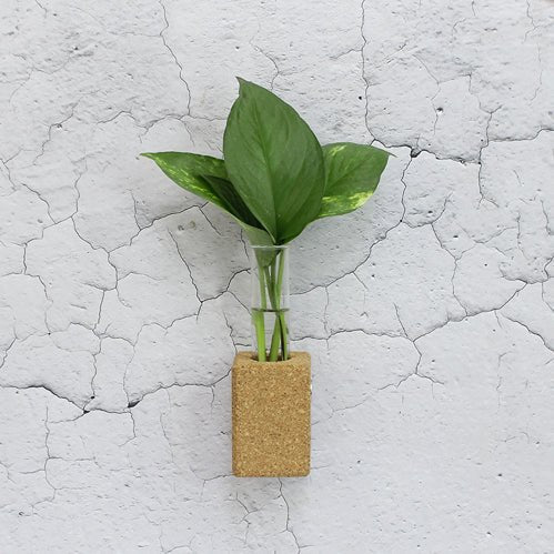 Cork Fridge Planter