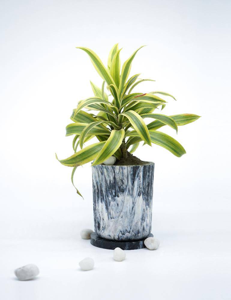 EcoPots (Planter)- Charcoal