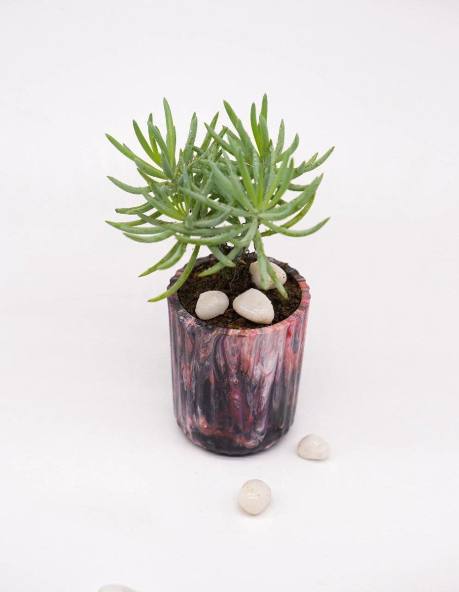 EcoPots Planter- Ciel