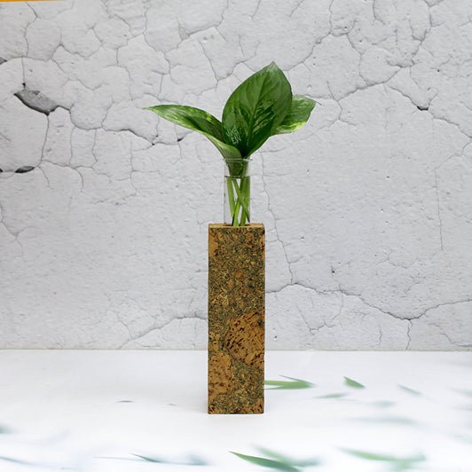 Long Cork Fridge Planter