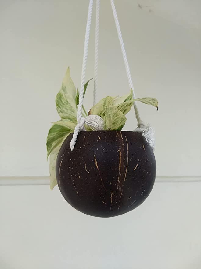 Natural, Ready to use Coconut Shell for gardening with Cotton Macrame